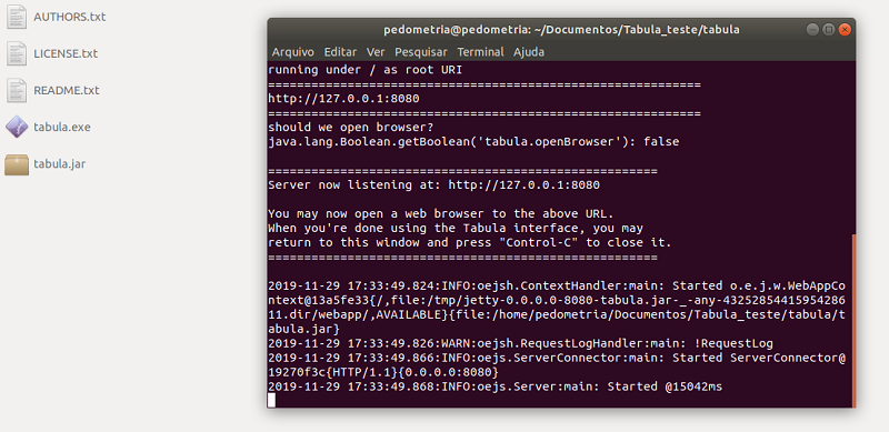 Figura 6. Execução do Tabula no Ubuntu 18.04 LTS via comando no terminal.